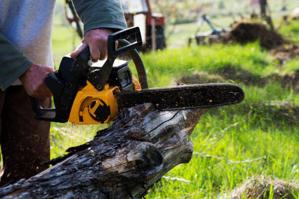 How Our Tree Care Process Works  in  Lake Hopatcong, NJ